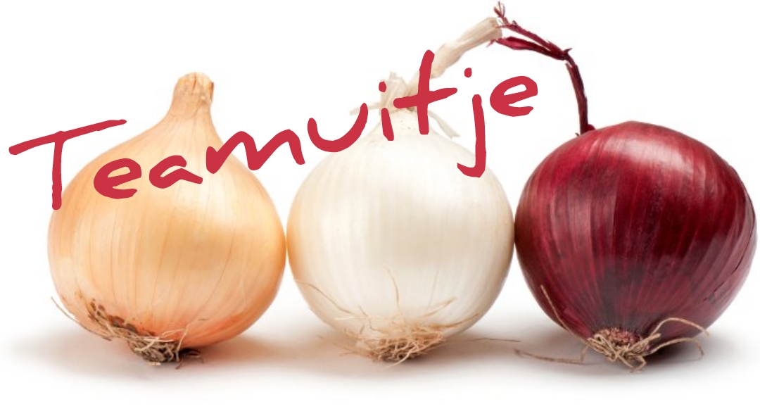 Uitje van de onderhoudsploeg